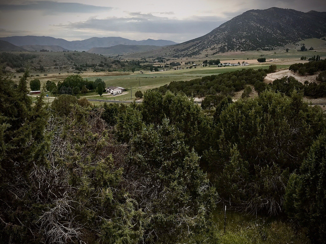 Lions Gate Manor主图