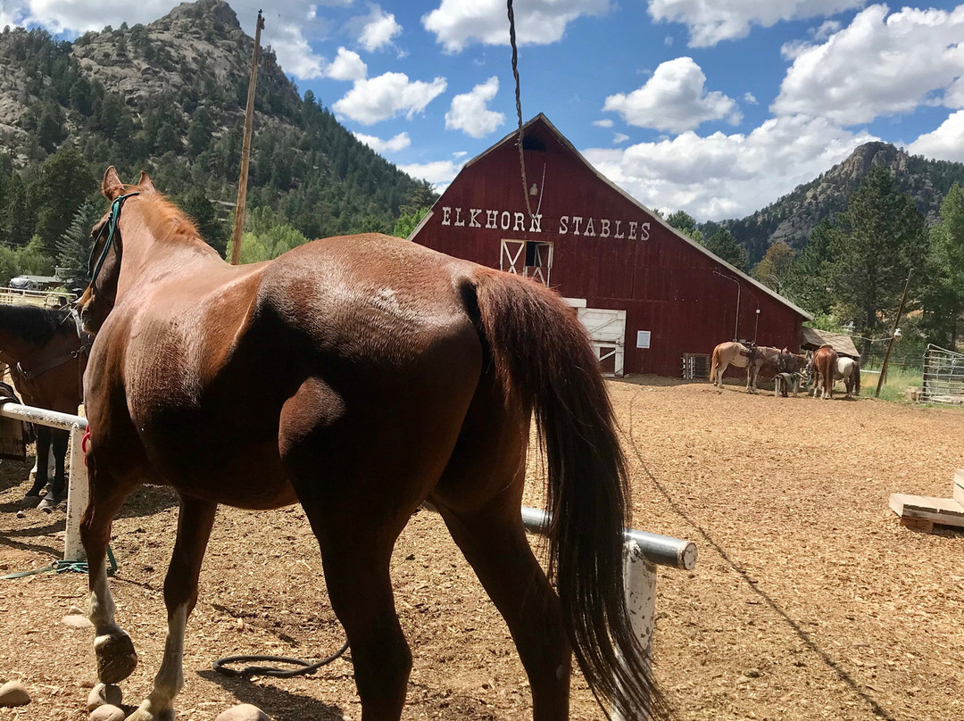 Elkhorn Stables-埃斯蒂斯公园必去景点