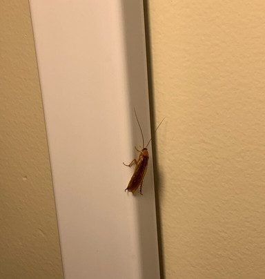 Tonkawa Hotel & Casino主图