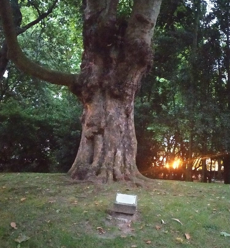 Parque de Ferrera-阿维莱斯必去景点