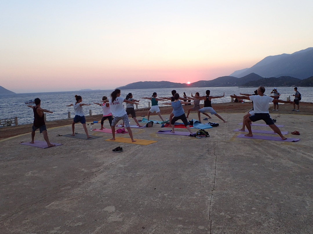 The Field for Yoga Therapies Nature By Beste Sabir景点图片