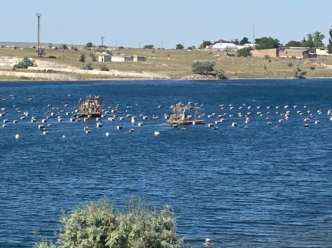 Donuzlav Lake-Myrnyi必去景点