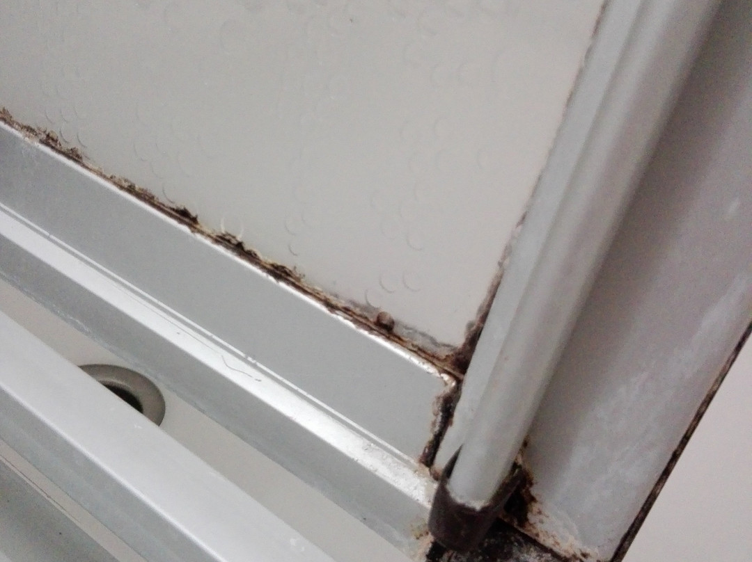 Hotel Schweizer Haus主图