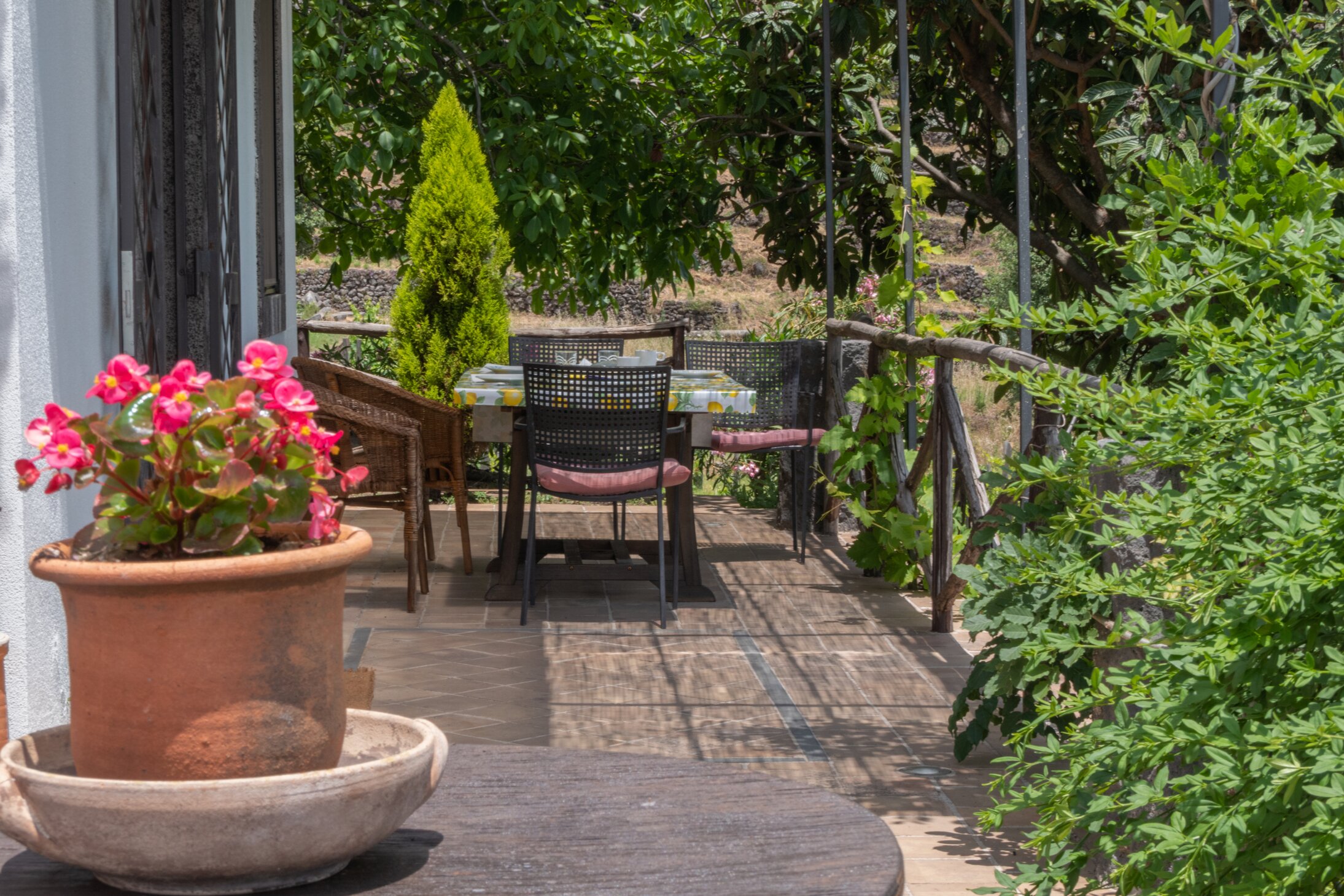 Alberto's Mt. Etna B&B-餐饮