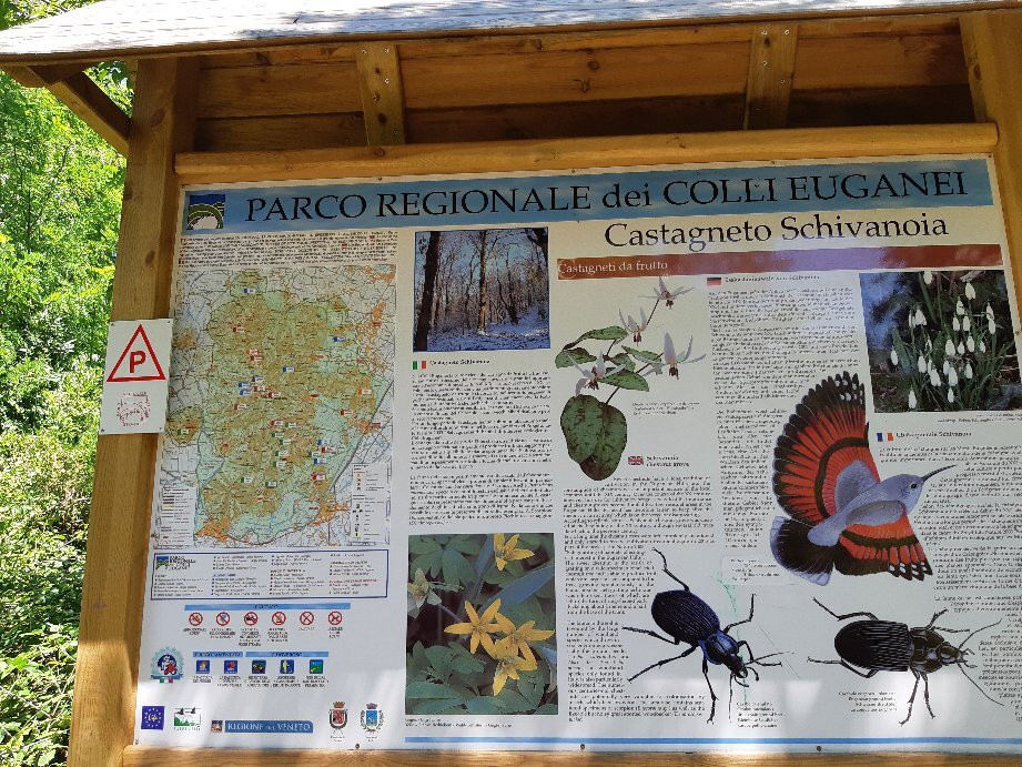 Cascata Schivanoia景点图片