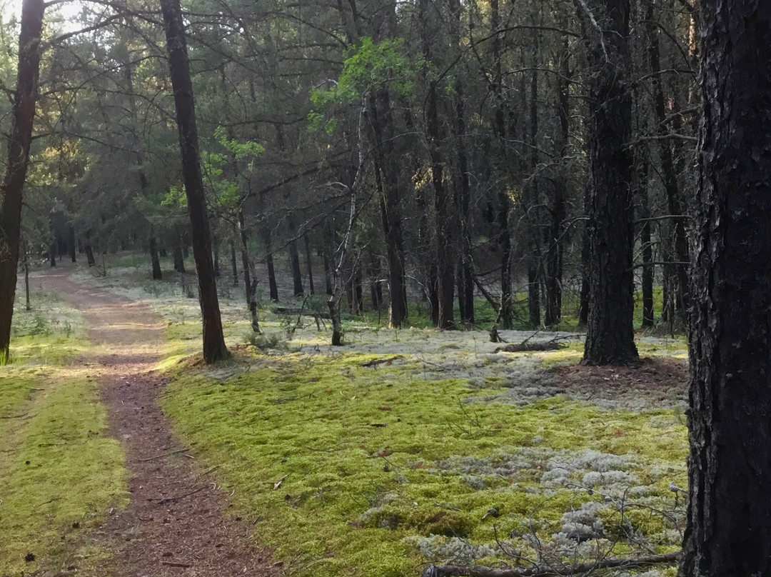 Whitney Lakes Provincial Park-林德伯格必去景点
