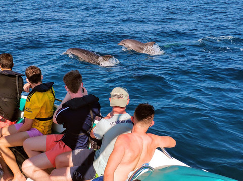 My-TicketShop-阿尔布赞拉必去景点