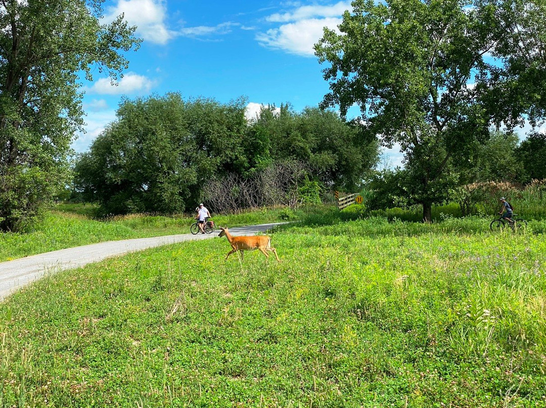 Parc Des Iles de Boucherville-Boucherville必去景点