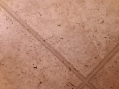 Apple Tree Inn主图