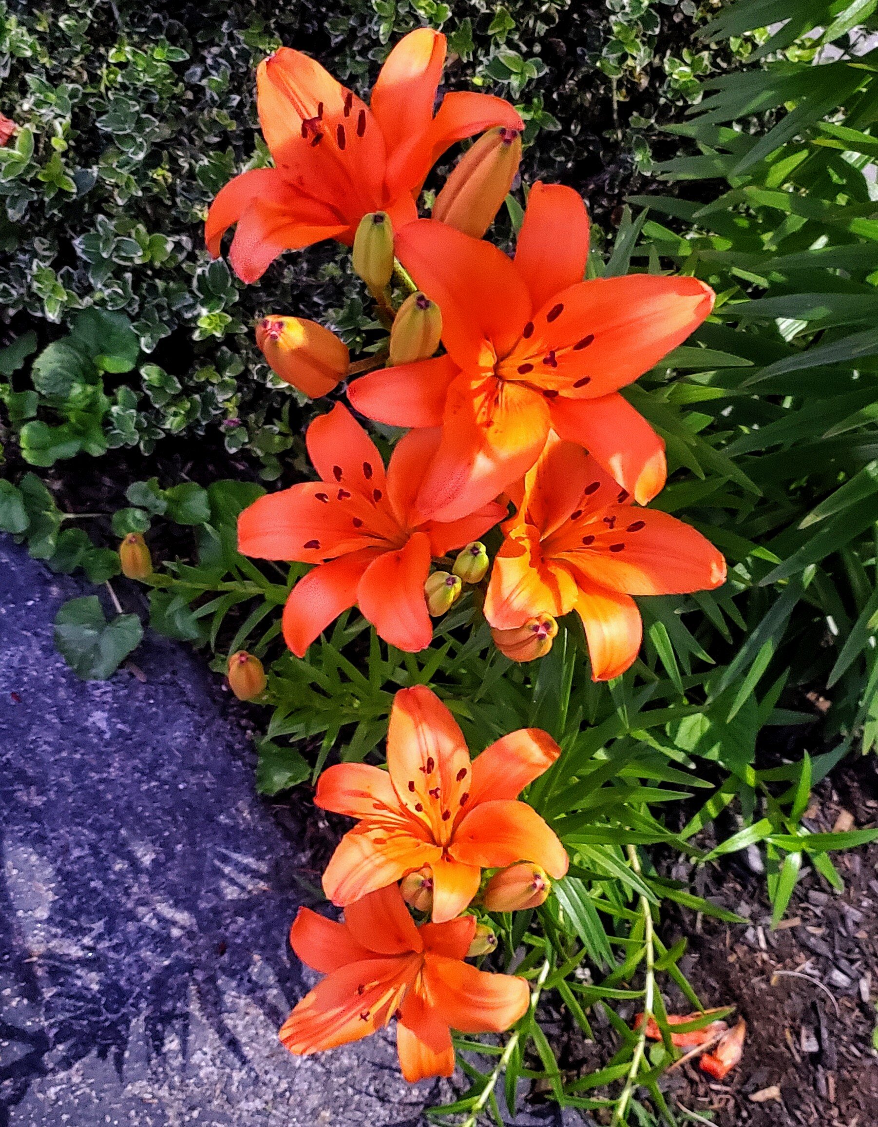 Sea Turn Motel-官方