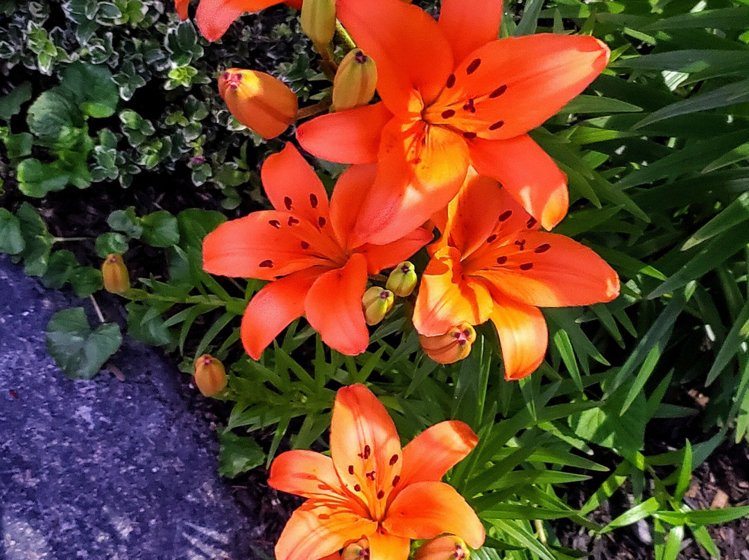 Sea Turn Motel主图