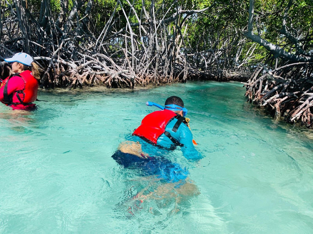 Kayaking Parguera Tours景点图片