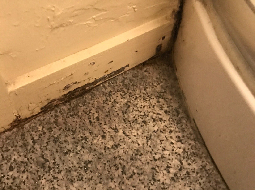 Wayfarer Motel主图