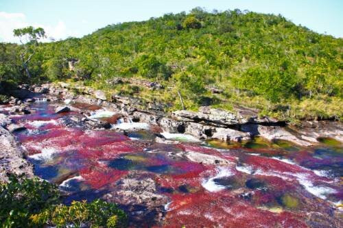 Macarenia Travel-La Macarena必去景点