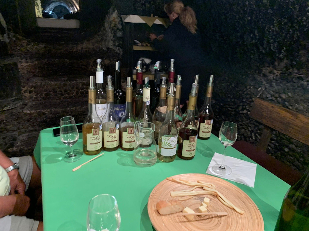 Tokaj & Co-Mala Trna必去景点