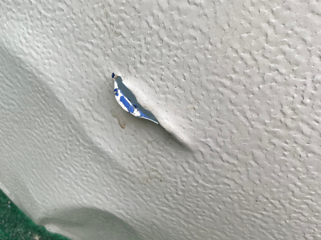 Paynes Water Sports-White Lake必去景点