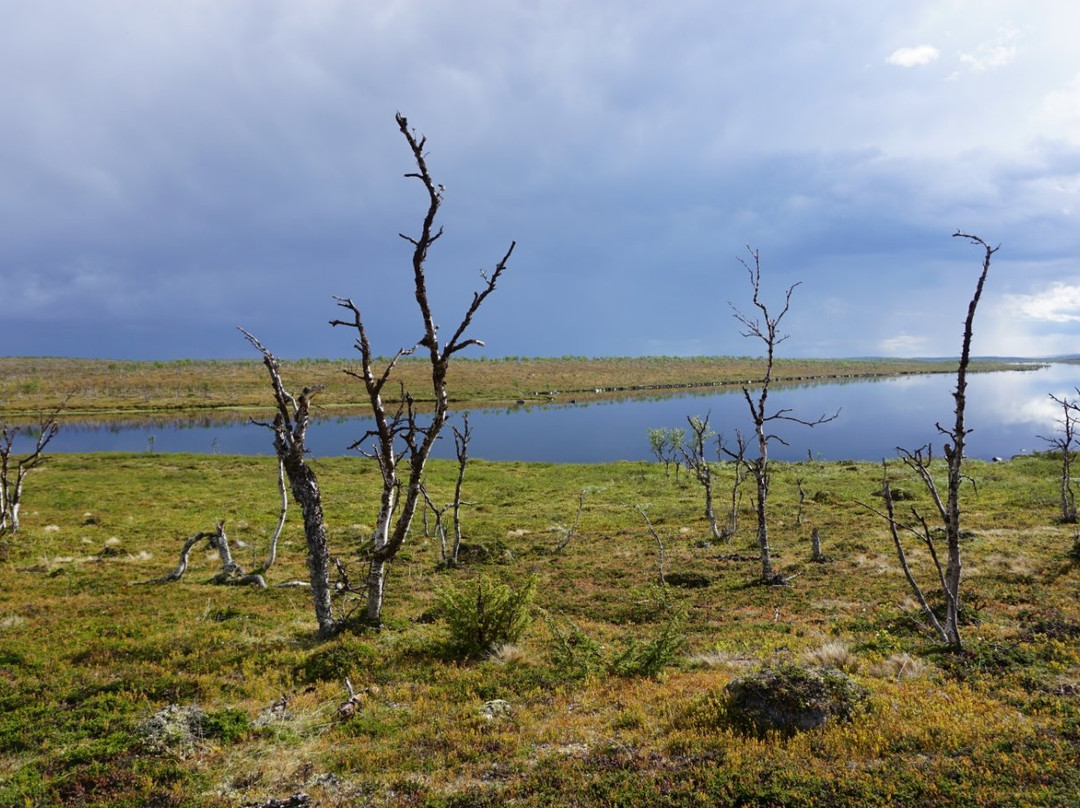 Kaldoaivi Wilderness Area-Utsjoki必去景点