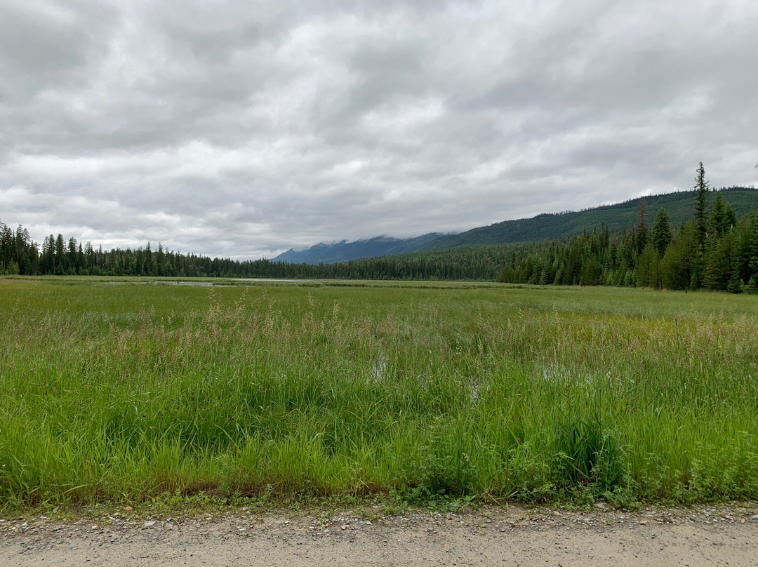 Action Rentals-怀特菲什必去景点