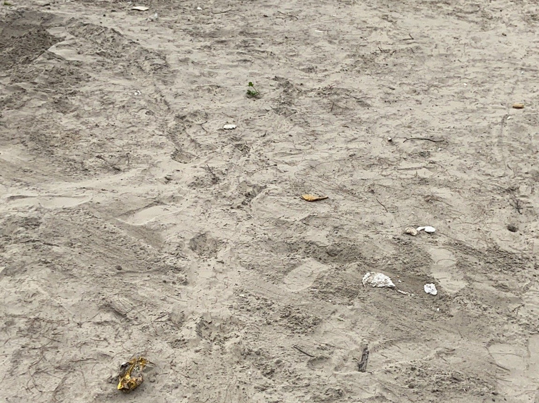 Parki Beach-Anwara必去景点