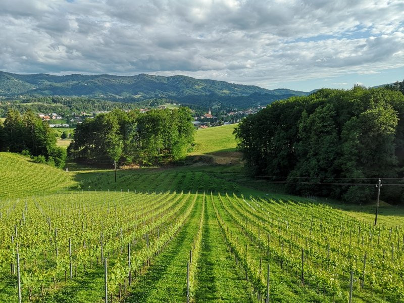 Weingut Haring Vlg.Pichlippi-Eibiswald必去景点
