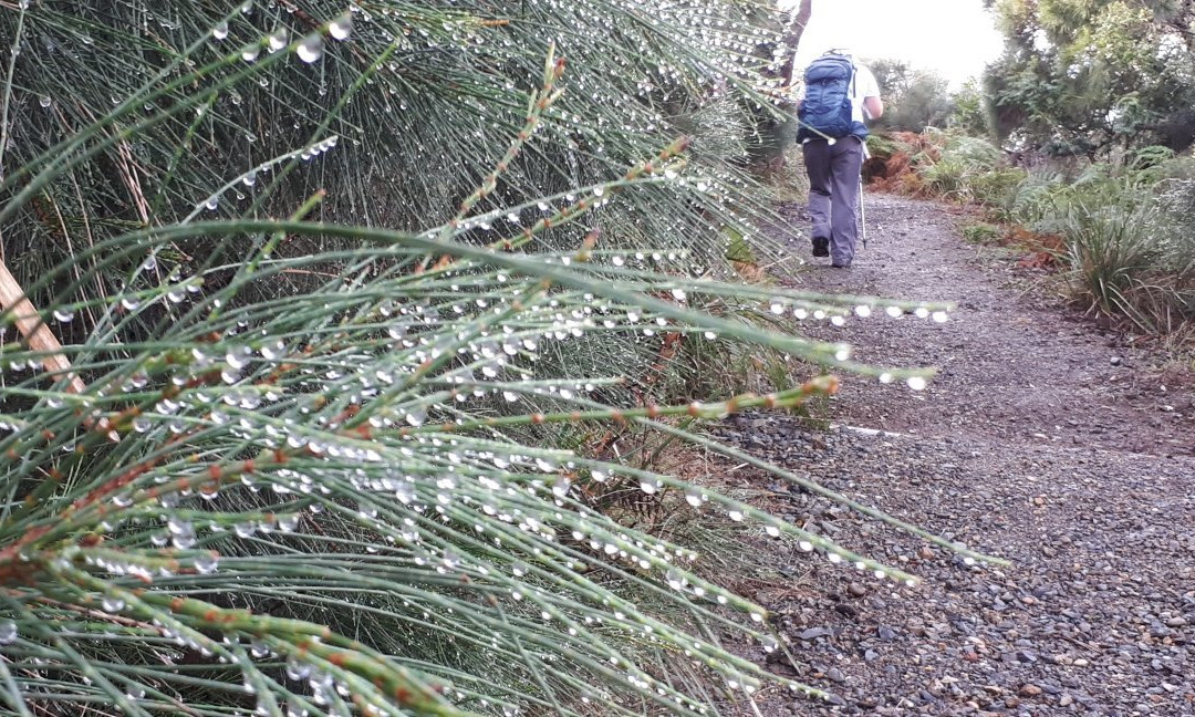 Korogoro Walking Track-Hat Head必去景点