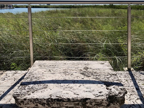 Fort Pierce Farmers Market-匹尔斯堡必去景点