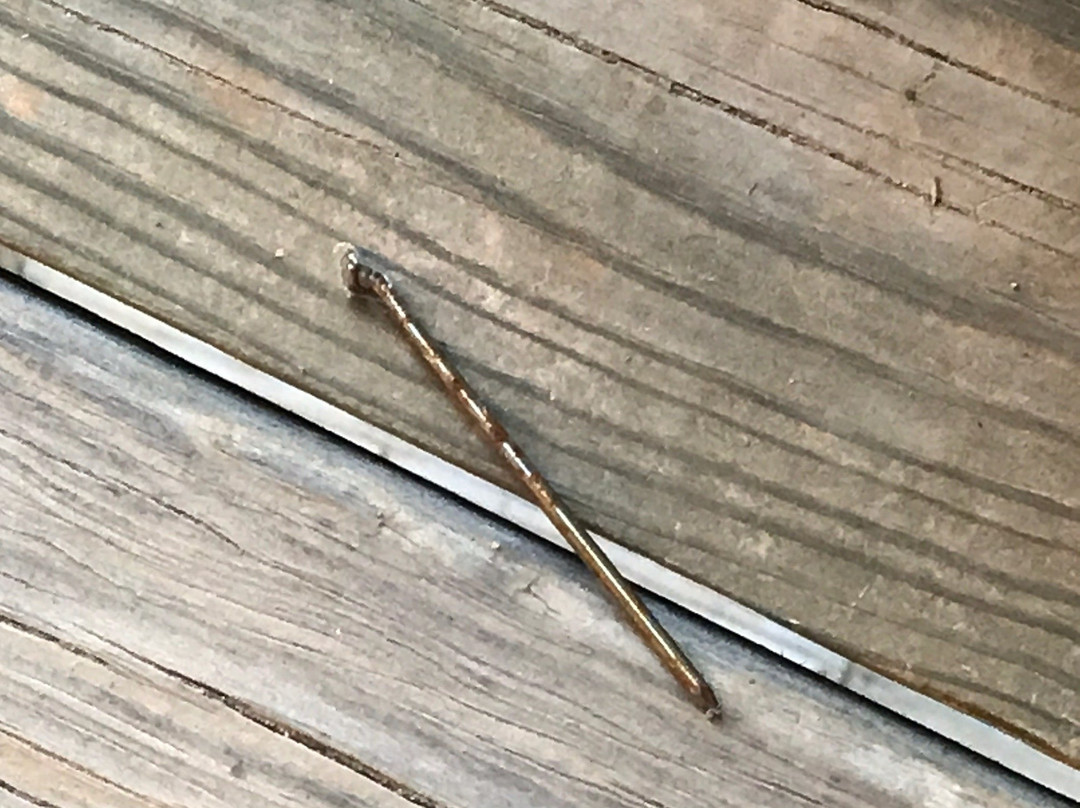 White Wing Lodge主图