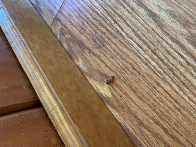 Kern Lodge, Kernville主图