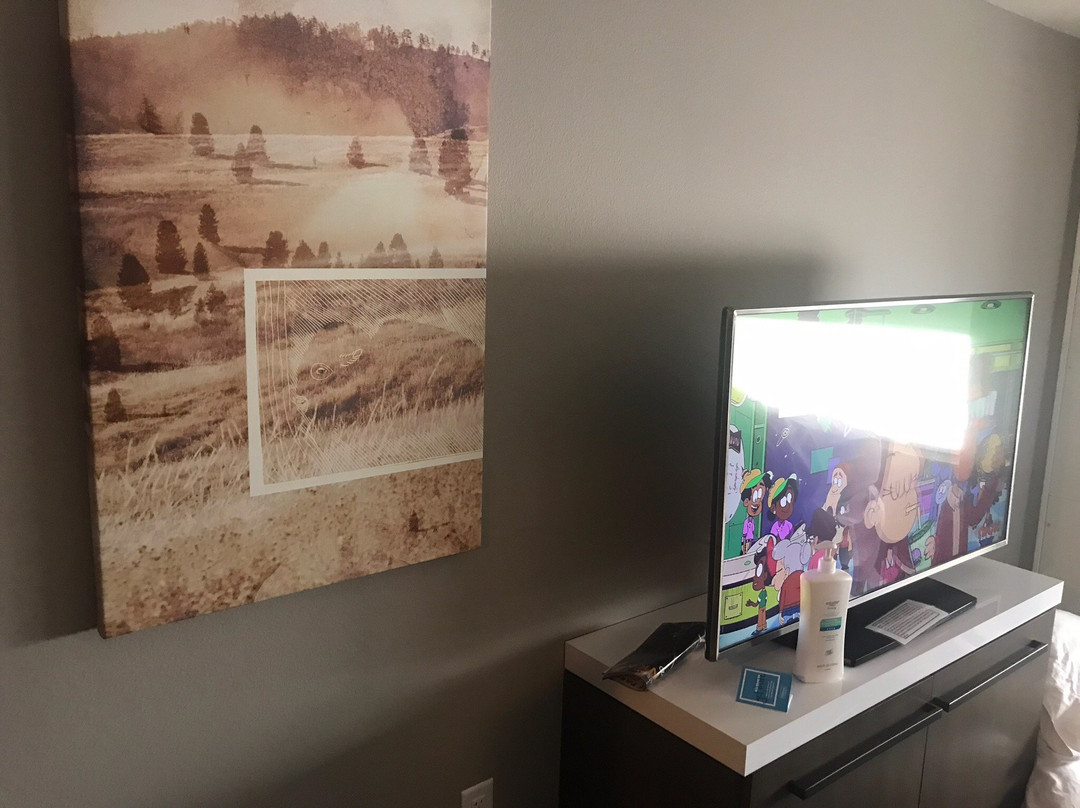 希尔顿花园旅馆拉皮德市主图