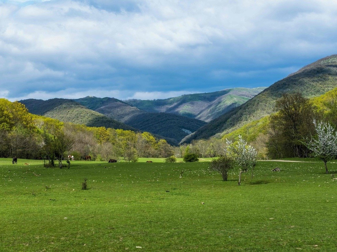 Конные прогулки "Жокей"景点图片