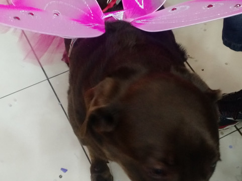 Bauru Shopping Center-Bauru必去景点