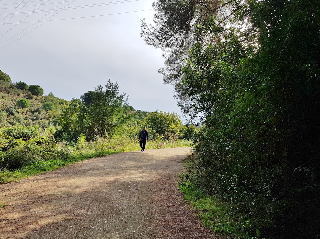 Carretera de Les Aigues景点图片