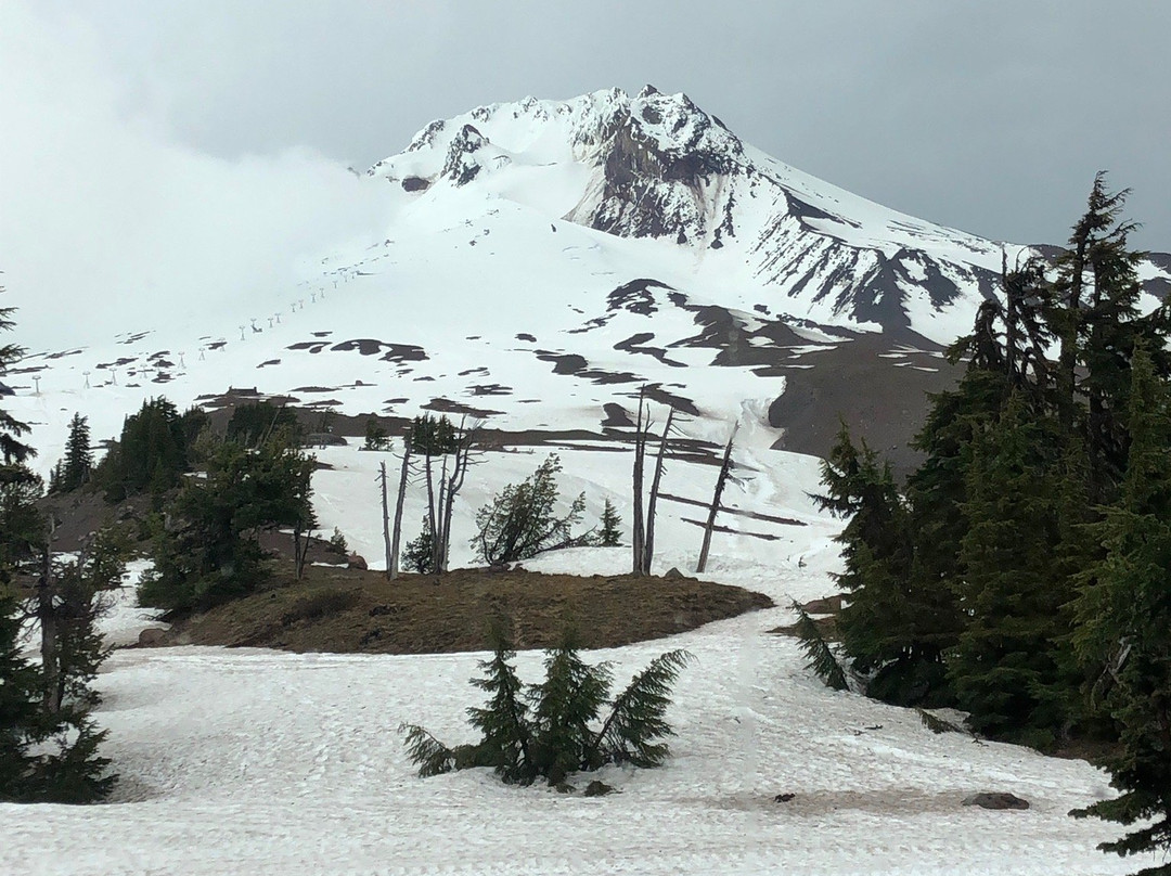 Mount Hood景点图片