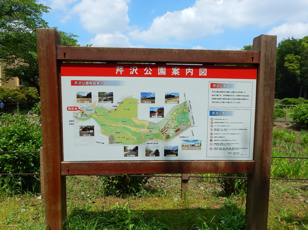 Serizawa Park-座间市必去景点