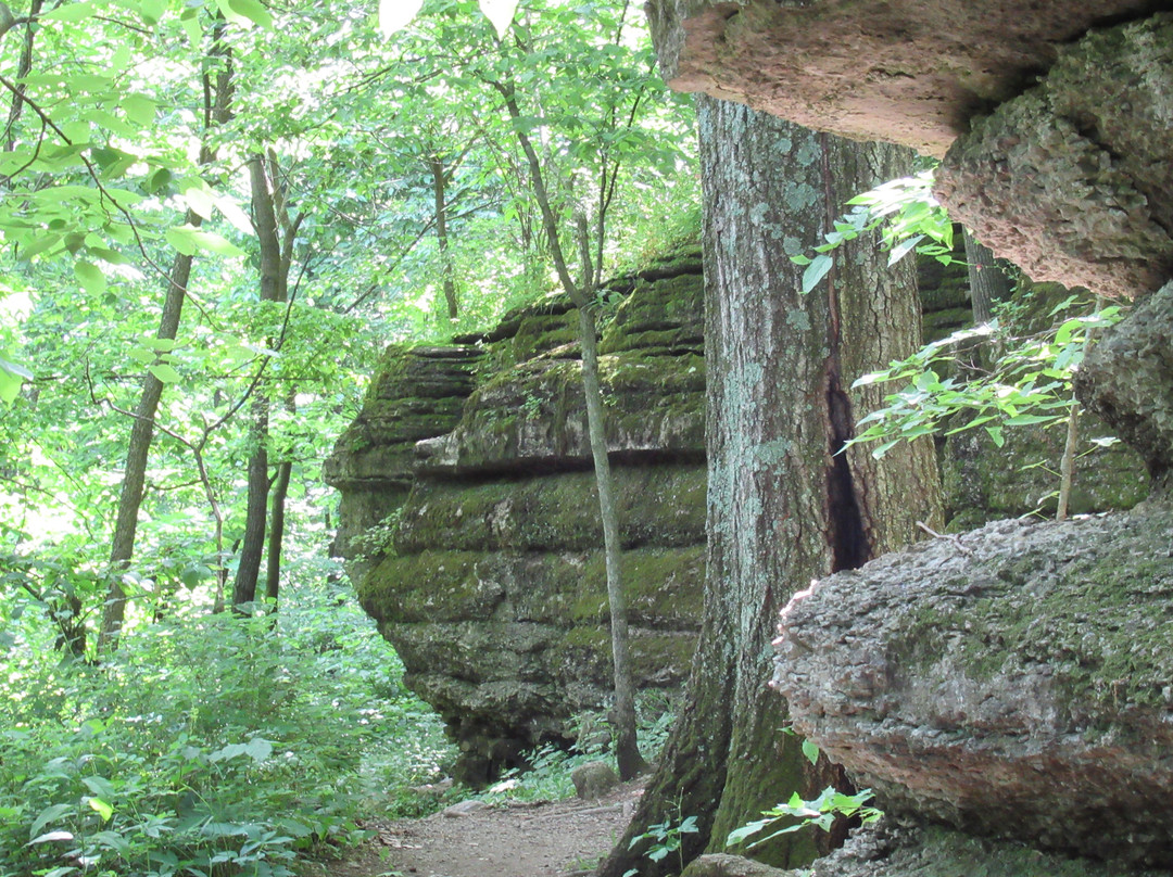 Burr Oak Woods Conservation Area景点图片