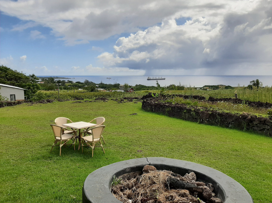 Altiplanico Rapa Nui主图