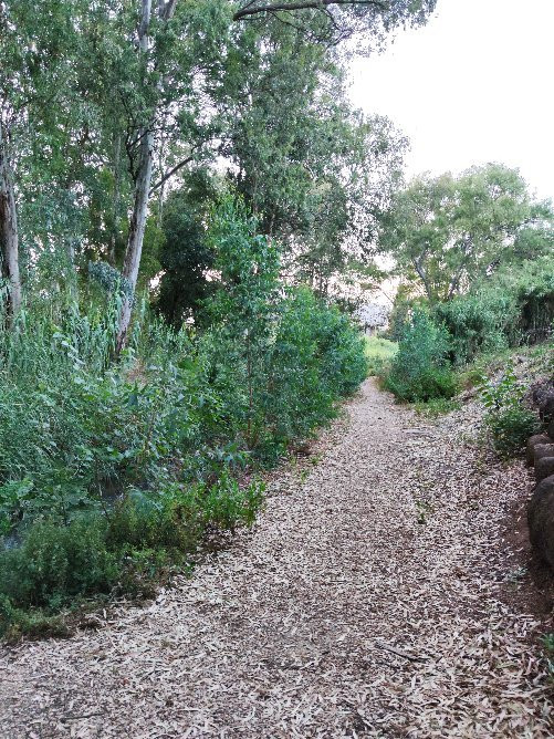 Manara Cliff-基利亚特什姆纳必去景点