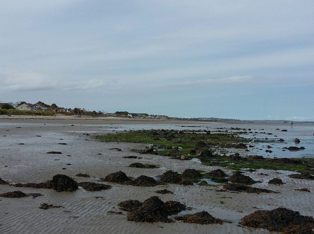 Millisle Beach Park景点图片