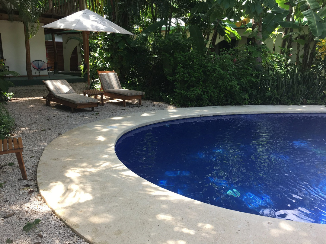 The Sunset Shack主图