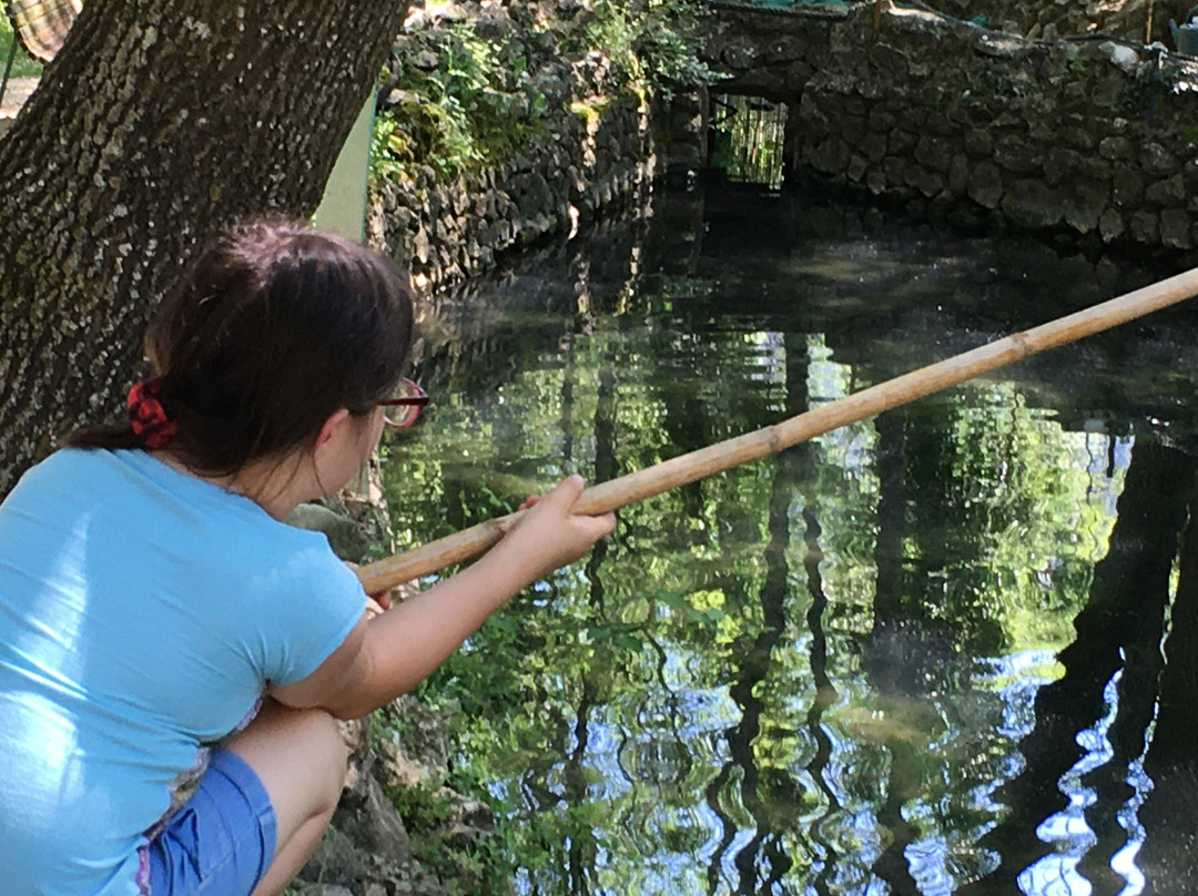 Pisciculture de Signes / Les sources du Gapeau-Signes必去景点
