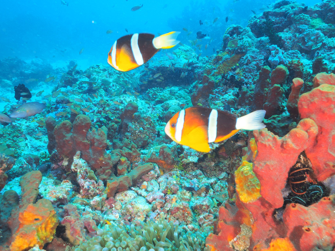 水上冒险乐园礁俱乐部酒店主图