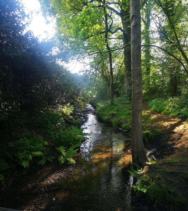 Esher Common-Esher必去景点