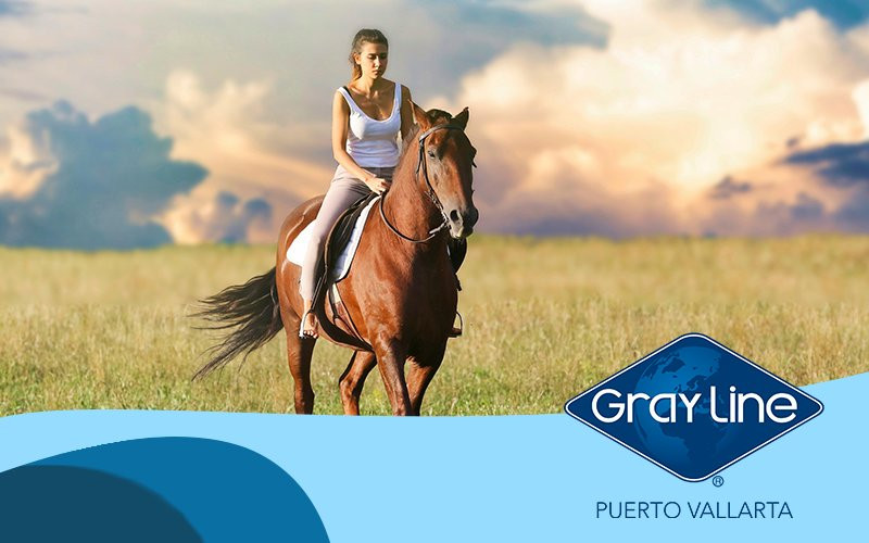 Gray Line Puerto Vallarta景点图片