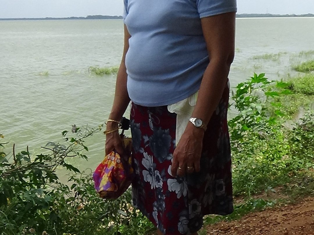 Yodha Wewa-马纳尔必去景点