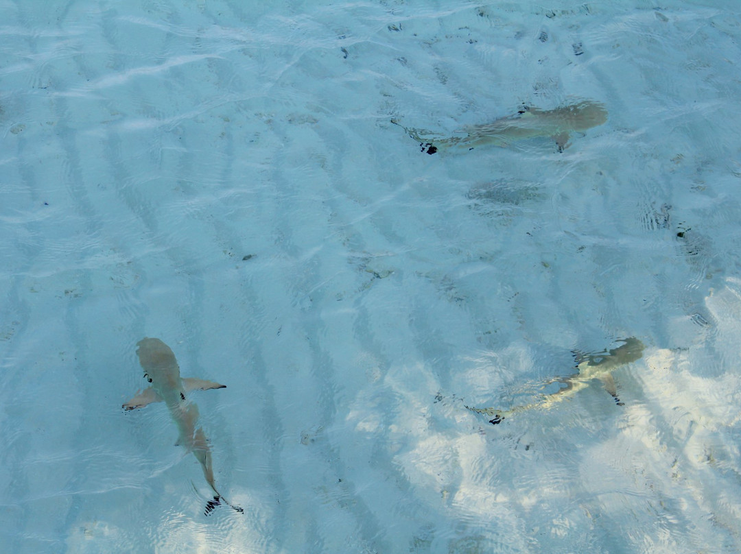 德瑞福特塞路维里加休闲酒店主图