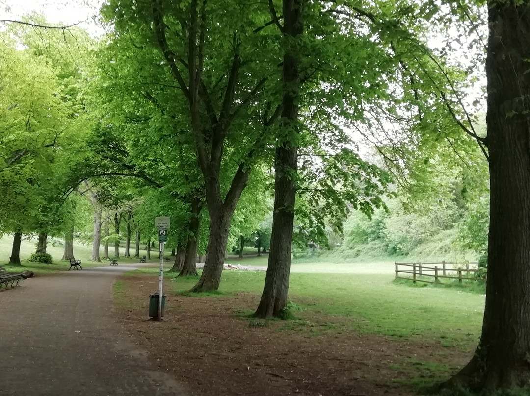 Ashcombe Park-滨海韦斯顿必去景点
