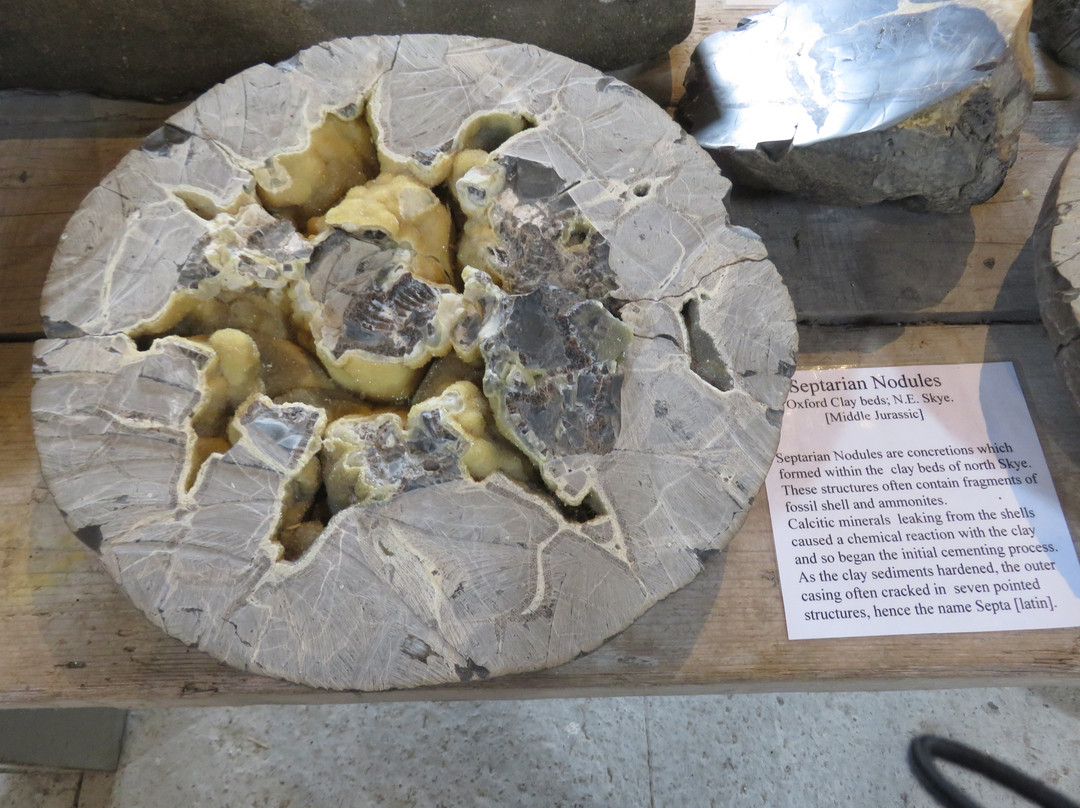 Staffin Fossil Museum景点图片