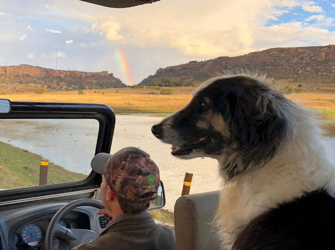 LIONSROCK Big Cat Sanctuary-伯利恒必去景点