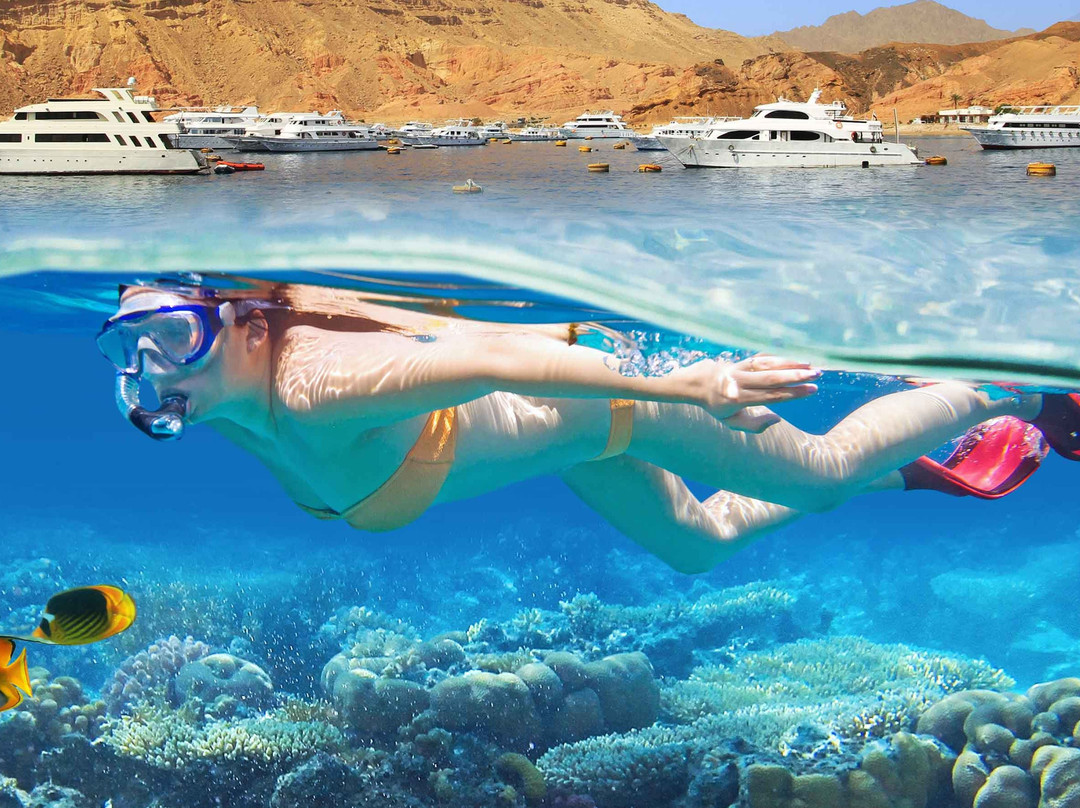 Memphis Tours-沙姆沙伊赫必去景点