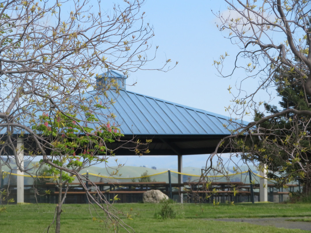 Quarry Lakes Regional Recreation Area景点图片